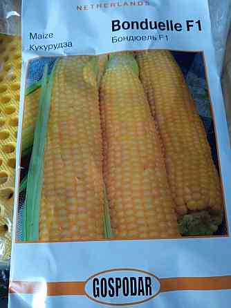 Кукуруза сахарная  