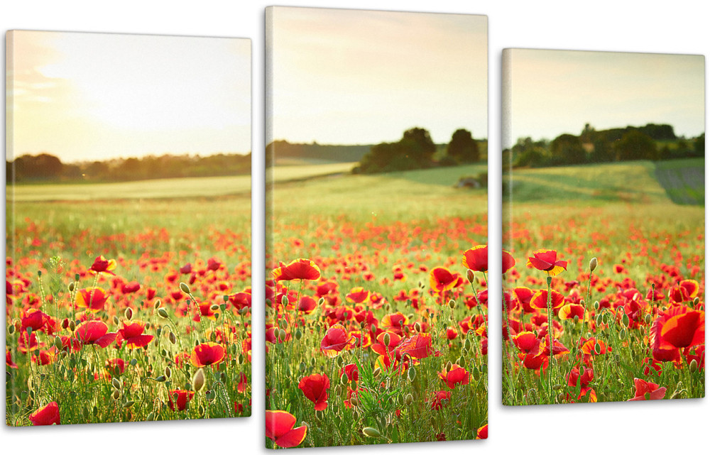 Модульна картина Полі Квітів Art-187_3 Київ - фото 1