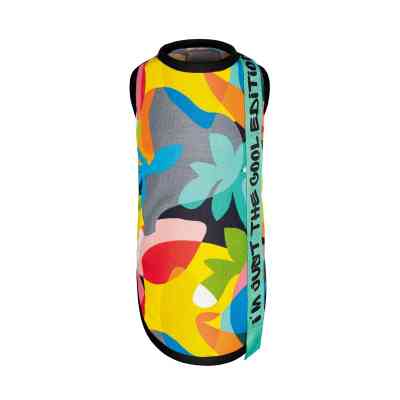 Борцовка для животных Pet Fashion Cool M разноцветная (4823082420193) Винница