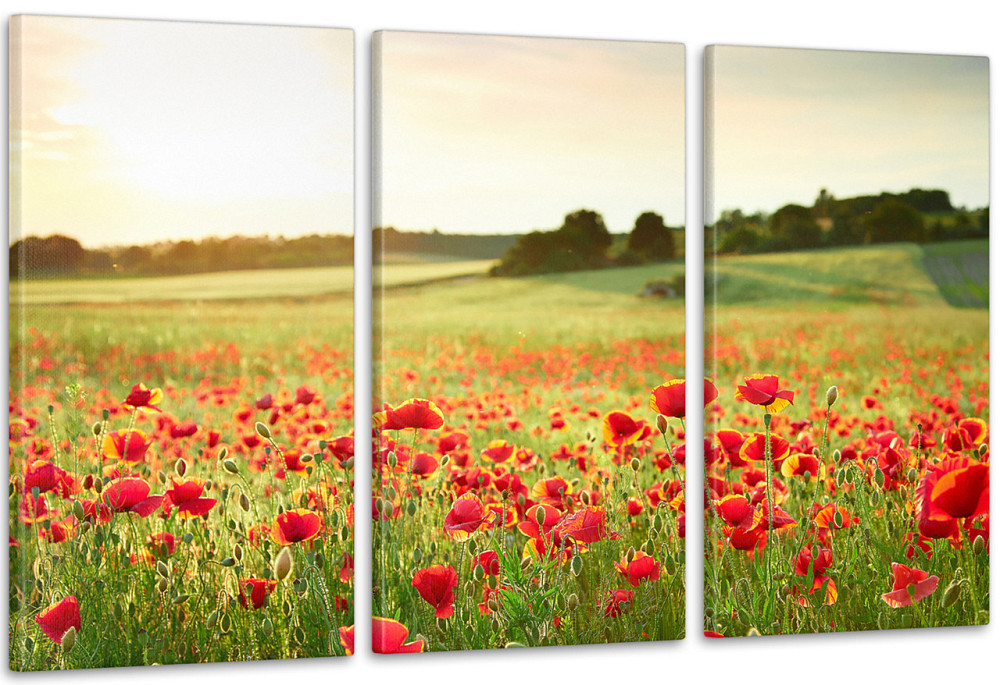 Модульная картина Поле Маки Аrt-187_3А 70x130 см Киев - изображение 1