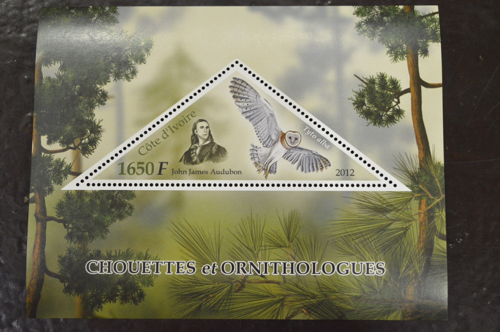 Кот-д’Ивуар. Фауна. Марки. Блок. 2012 год (И) Полтава - изображение 1