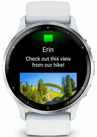 Смарт-Часи Garmin Venu Whilestone. Київ