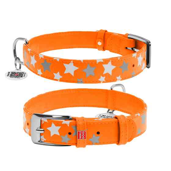 Нашийник для собак шкіряний WAUDOG Glamour з QR паспортом, візерунок "Зірочка", світлонакопичув Коломия
