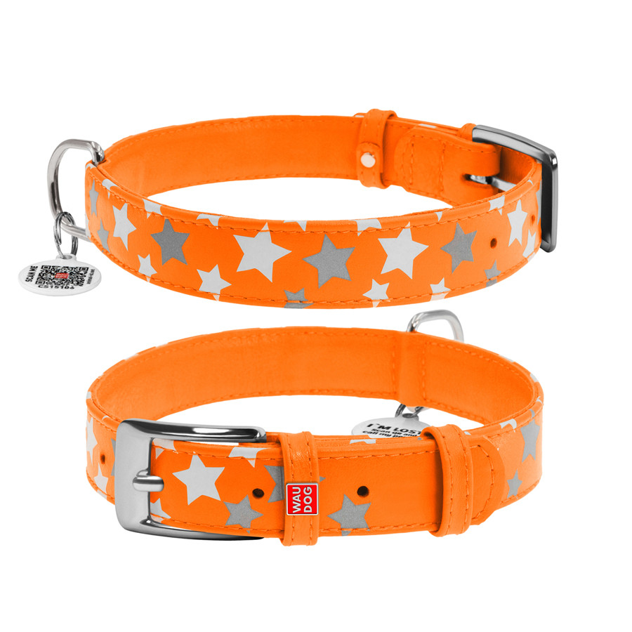Нашийник для собак шкіряний WAUDOG Glamour з QR паспортом, візерунок "Зірочка", світлонакопичув Коломыя - изображение 3