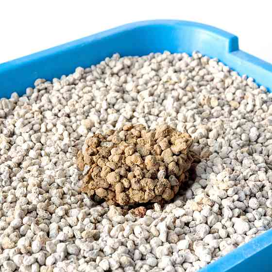 Натуральний бентонітовий наповнювач для котячих туалетів Тигра, 5 кг, гранула максі 2,5-5 мм, червоний Київ