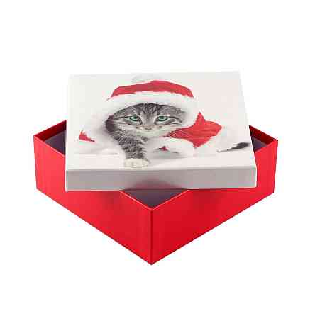 Коробка подарункова ООТВ Santa Cat 18 х 18 х 8 см Рівне