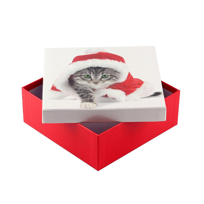 Коробка подарункова ООТВ Santa Cat 18 х 18 х 8 см Рівне - фото 1