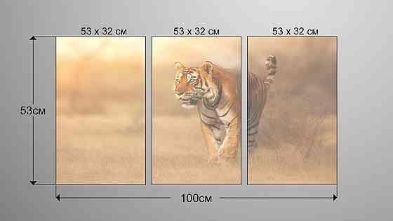 Модульна картина Природа Тигр Аrt-183_3А Київ