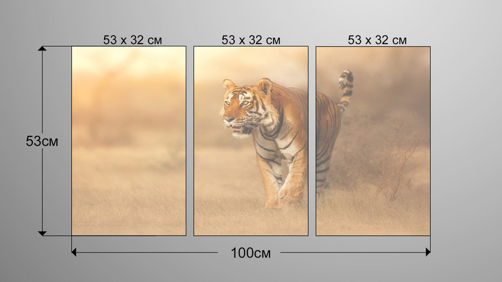Модульна картина Природа Тигр Аrt-183_3А Київ - фото 3