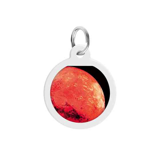 Адресник для собак і котів металевий WAUDOG Smart ID з QR паспортом, малюнок "Марс", коло, Д 25 мм Київ