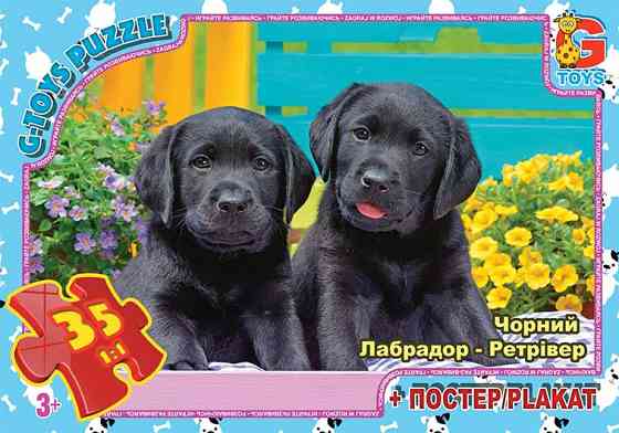 Пазли ТМ "G-Toys" із серії "Домашні улюбленці", 35 елементів, шт Київ