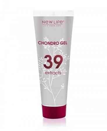 Гель хондропротектор 39 Экстрактов CHONDRO GEL 39 EXTRACTS ХОНДРО Киев