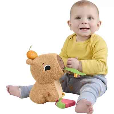 Розвиваюча іграшка Fisher-Price Капібара (HYR54) Вінниця