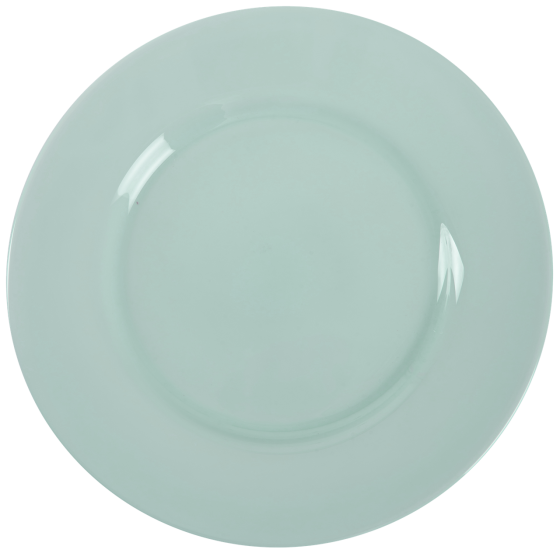 Тарелка обідня Luminarc Plumi Light Turquoise (6997658) Київ