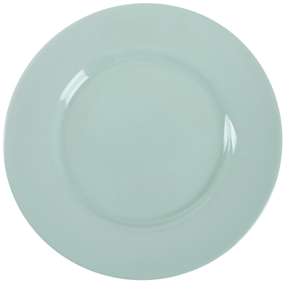 Тарелка обідня Luminarc Plumi Light Turquoise (6997658) Київ - фото 1