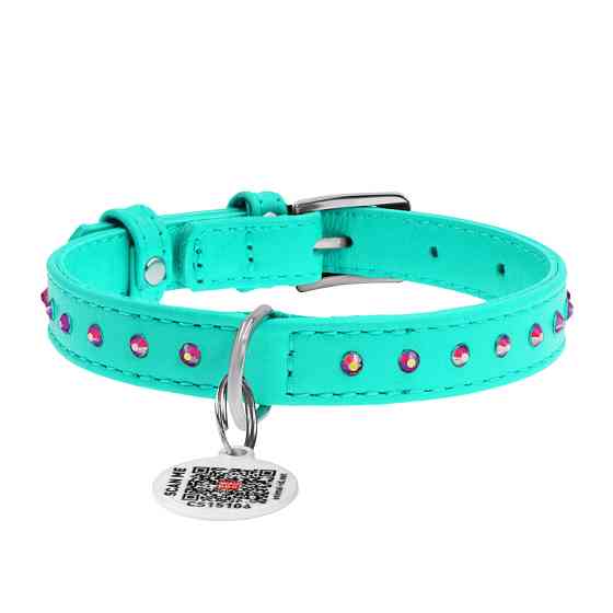 Нашийник для собак шкіряний WAUDOG Glamour з QR паспортом, з клейовими стразами, Ш 12 мм, Дов 2 Коломыя
