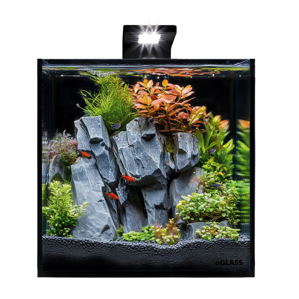 Аквариумный набор BlackCube 20 литров, с черной задней стенкой, 27х27х27 см, стекло 4 мм. Киев - изображение 1