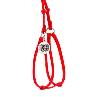 Шлей для собак WAUDOG Glamour круглая, с поводком XS красная (34023) Винница