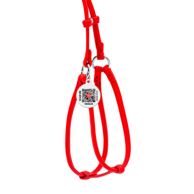 Шлей для собак WAUDOG Glamour круглая, с поводком XS красная (34023) Винница - изображение 3