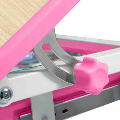 Парта со стулом FunDesk Piccolino III Pink-w Винница