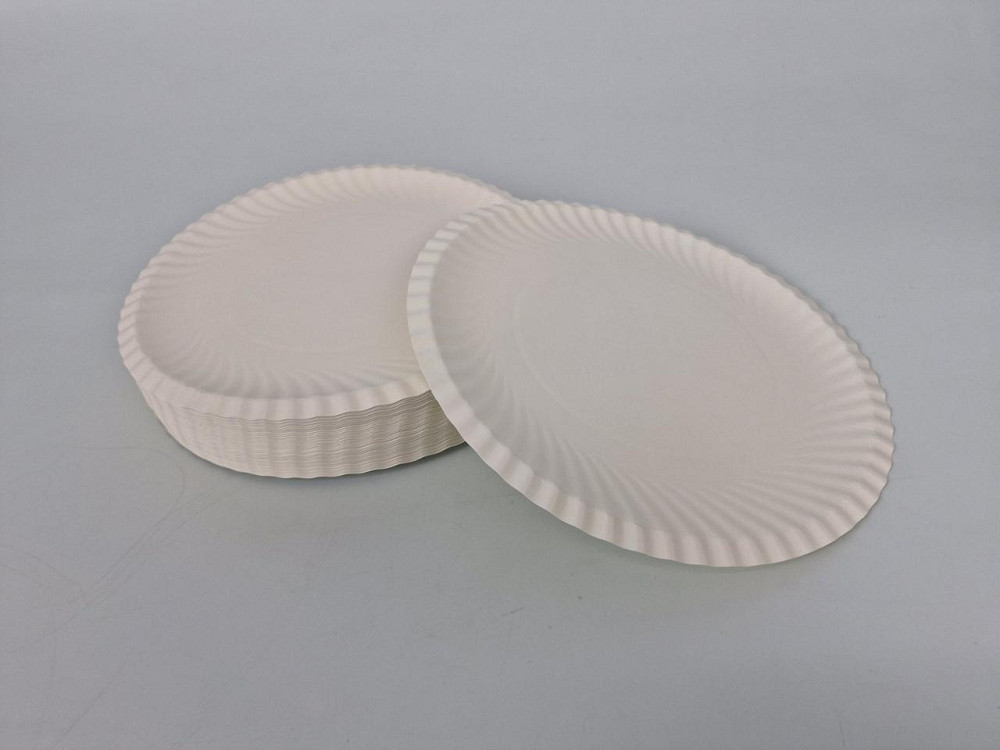 Паперова тарілка біла 100 шт. діаметр 225 мм (1 пачка) Харків - фото 1