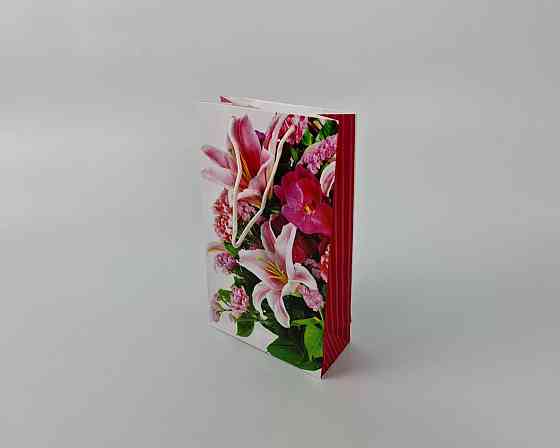 Паперовий пакет подарунковий Середній 17/26/8 (артSV-177) (12 шт.) Харків