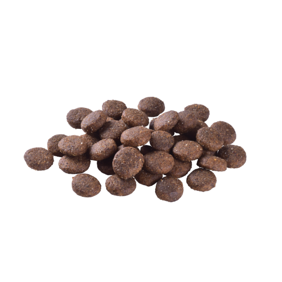 Сухой корм Brit Care Dog Grain-free Junior Large Breed для молодых собак больших пород, беззерновой с лососем, Винница