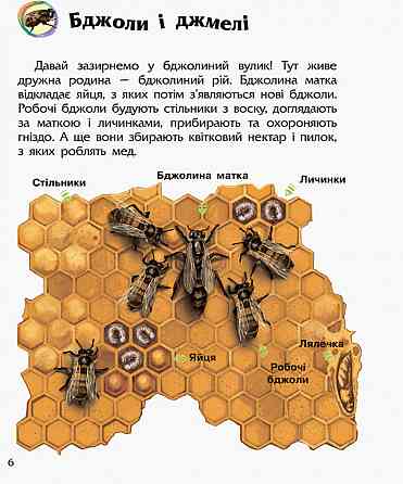 Детская энциклопедия про насекомых 614014 для дошкольников Винница