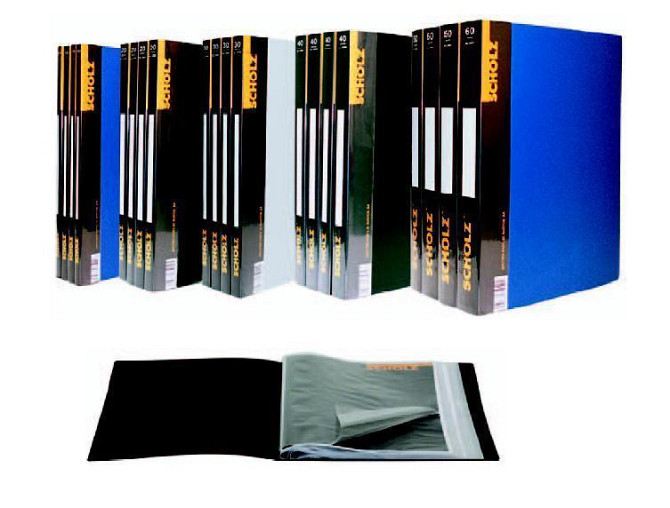 Папка з 60 файлами А4 "Scholz" 06504 дисплей-книга 800мкн, шт Київ - фото 1