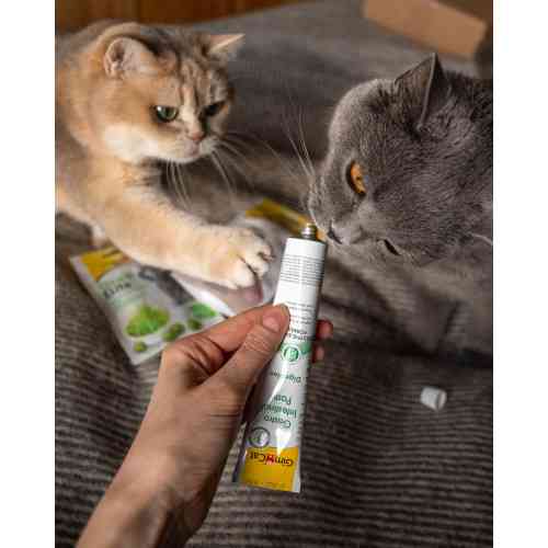 Вітаміни GimCat Expert Line Gastro Intestinal для котів паста для покращення травлення 50 г Київ