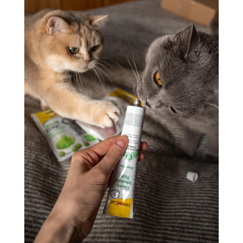 Вітаміни GimCat Expert Line Gastro Intestinal для котів паста для покращення травлення 50 г Київ - фото 4
