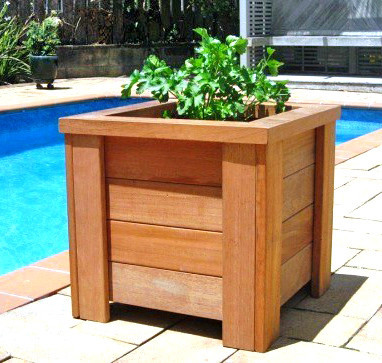 Кашпо "Пістрянка" мускат Миколаїв - фото 1