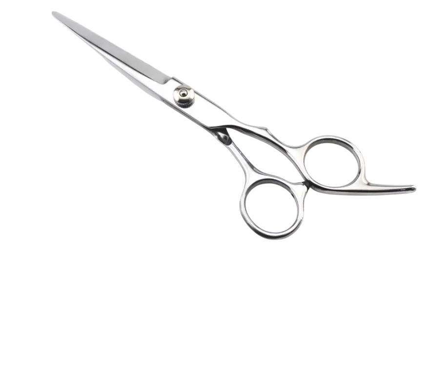 Ножиці перукарські філірувальні двосторонні JAGUAR 6* Київ - фото 2