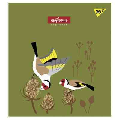 Тетрадь Yes А5 Avifauna 24 листа линия (766848) Винница