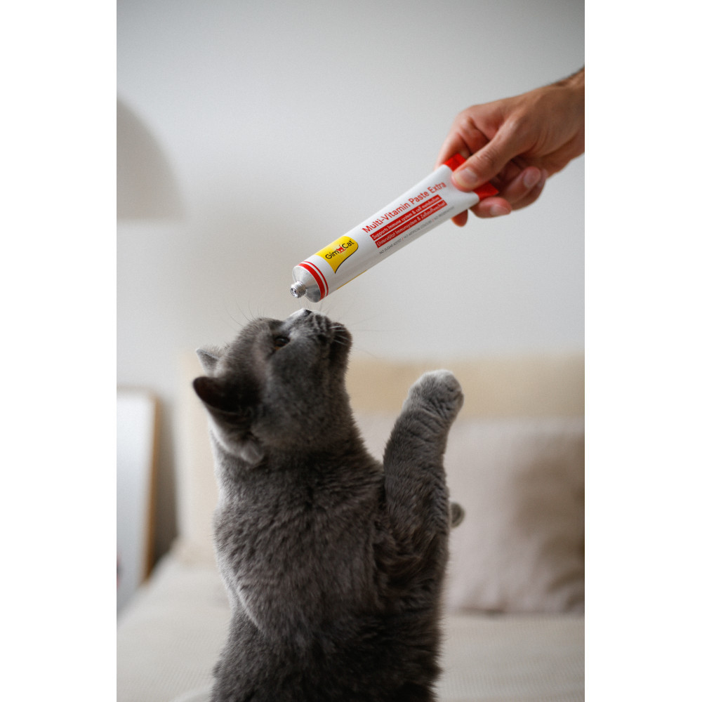 Мультивитаминная паста GimCat Every Day Extra для кошек, 200 г Винница - изображение 3