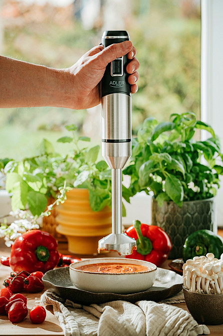 Блендер Adler AD 4628 ручний/ 1500Вт/ 1 швидк./ без чаші/ Turbo/ Ice Crush/ чорний Вінниця - фото 11