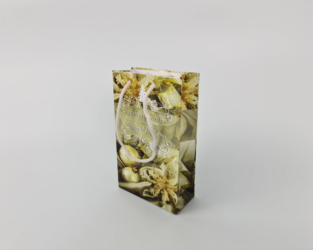 Пакеты новогодние ,бумажные ,подарочные , Малый 11/18/5  - -019 (12 шт) Харьков - изображение 2