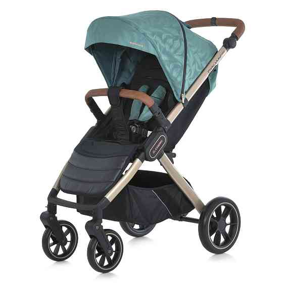 Коляска дитяча EL CAMINO DYNAMIC PRO Special Mint прогулянкова з чохлом та дощовиком М'ятна з пір'ячками (ME 1053G-2) Чернігів