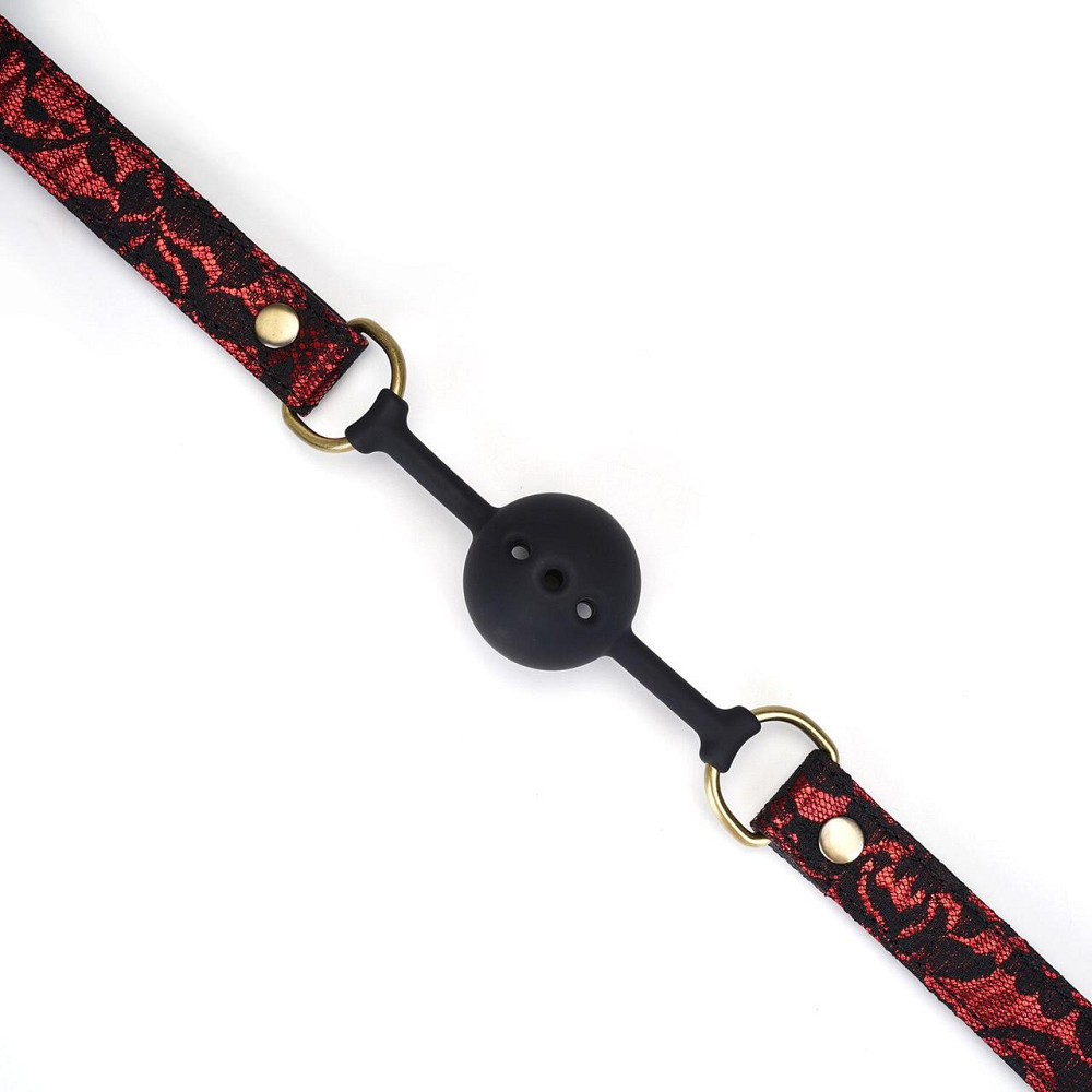 Воздухопроницаемый кляп Liebe Seele Victorian Garden Ball Gag Sex Aura Киев - изображение 4