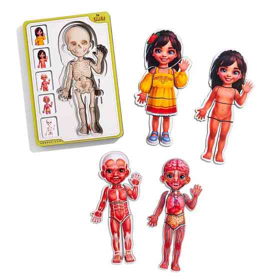 Дерев'яний пазл-вкладиш "Анатомія людини - дівчинка-2" (ПСД263) PSD263 будова тіла Вінниця