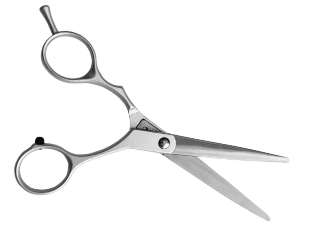 Ножиці для стрижки Zinger 8-11 Дніпро - фото 1