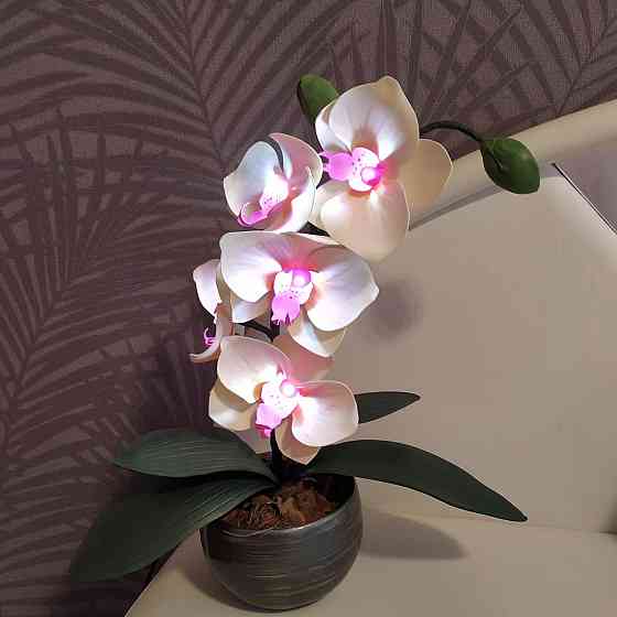 Світильник-нічник "Орхідея Натхнення" Дніпро