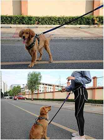 Повідець для собак з поясним ременем для бігу 120см Луцк