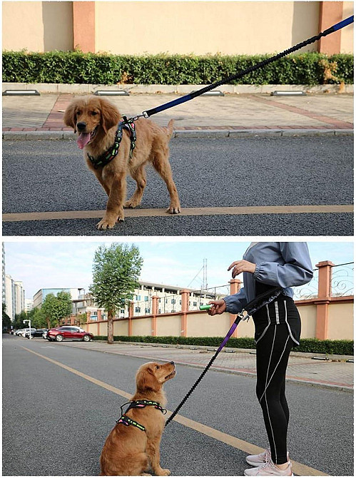 Повідець для собак з поясним ременем для бігу 120см Луцк - изображение 3