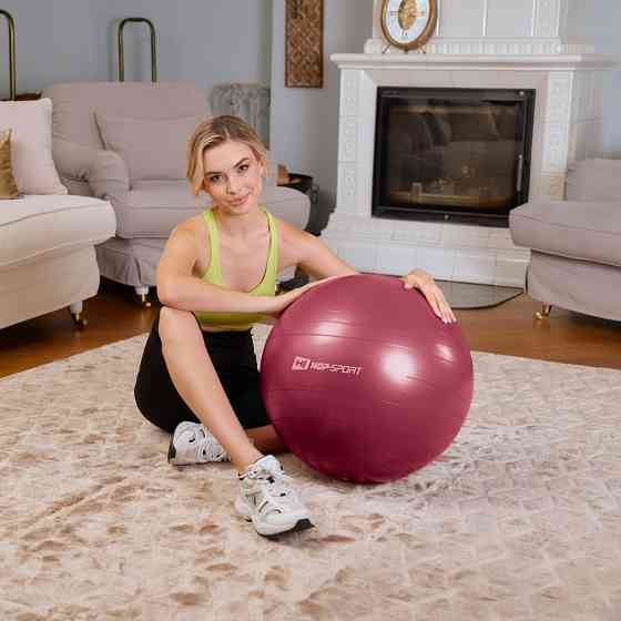 Фітбол Hop-Sport 45см HS-R045YB сливовий + насос Київ
