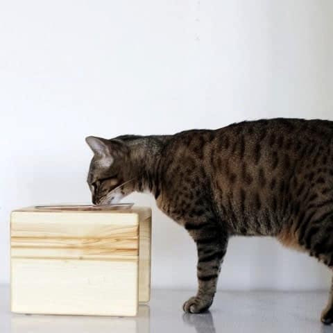 Подставка под миски для кошек 