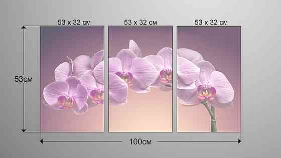 Модульна картина Квіти Орхідея Аrt-111_3А Київ
