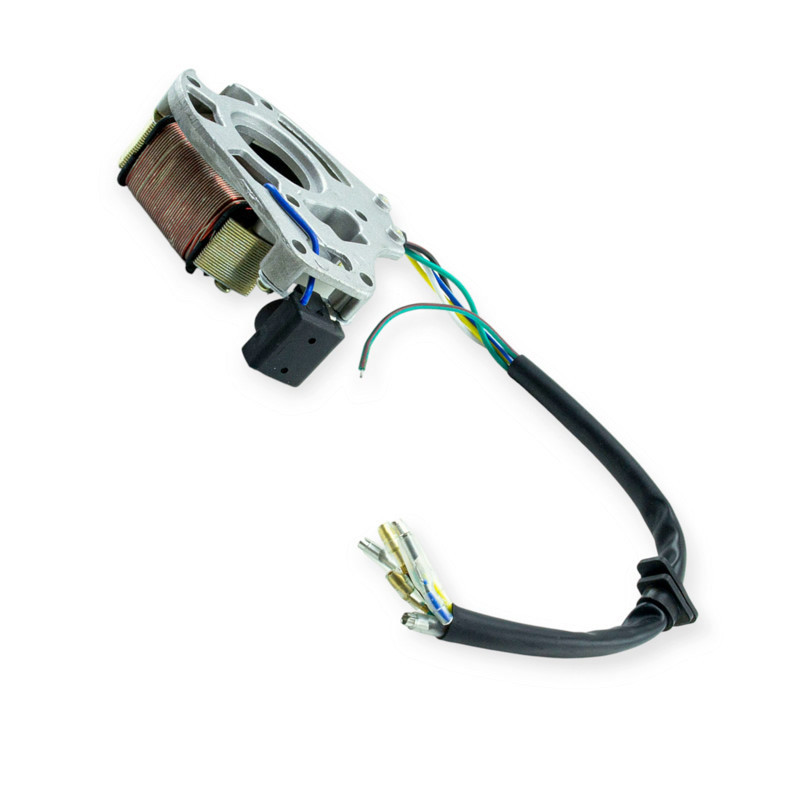 Генератор мопед Дельта (2 катушки) Мукачево - изображение 2