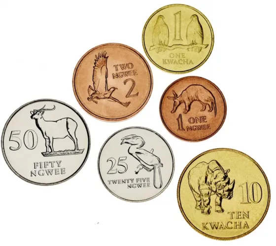 Zambia Замбия набор 6 монет 1 2 25 50 Ngwee 1 10 Kwacha 1983 - 1992 UNC Полтава