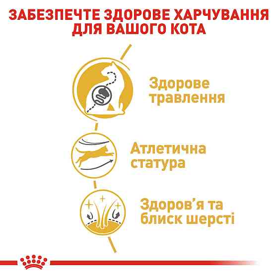 Корм для взрослых кошек породы Бенгальский ROYAL CANIN BENGAL ADULT 2.0 кг Киев